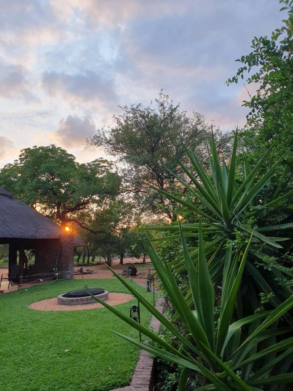 Masorini Bush Lodge & Safari Tents Phalaborwa Exteriér fotografie