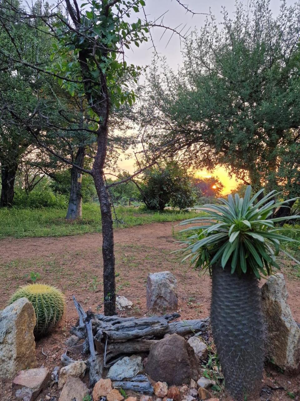 Masorini Bush Lodge & Safari Tents Phalaborwa Exteriér fotografie